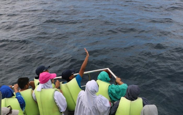 Whale Watching